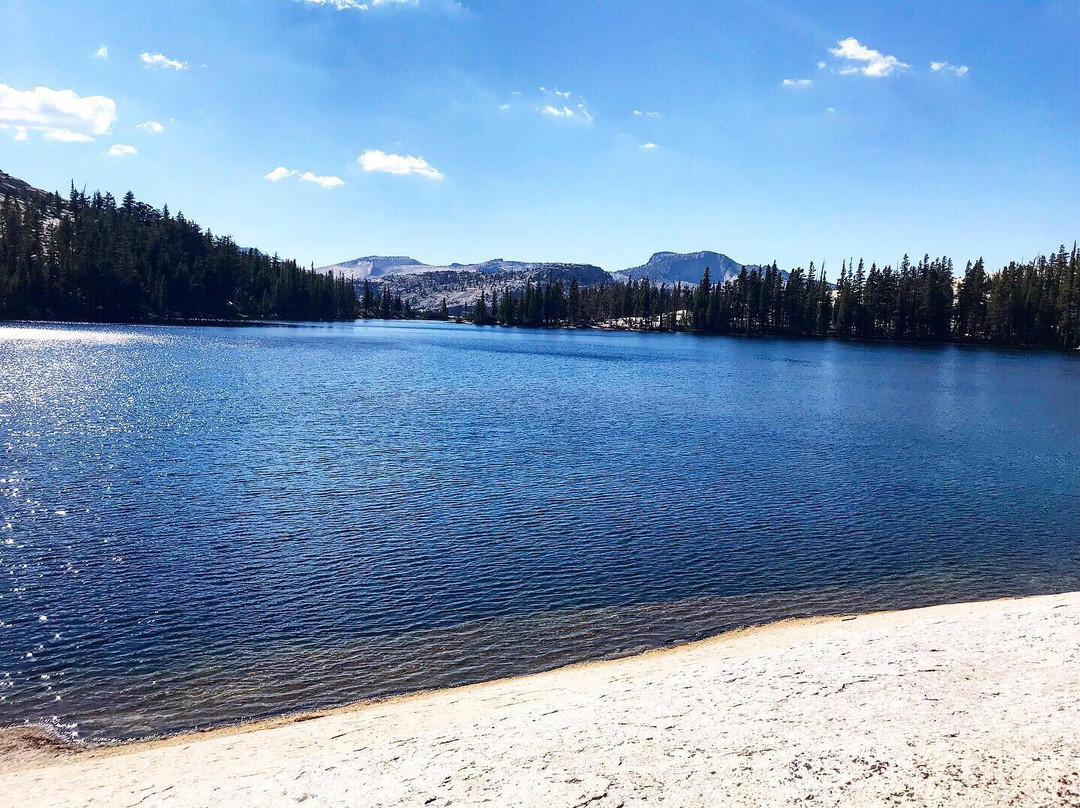 Cathedral Lake Trail-优胜美地国家公园必去景点