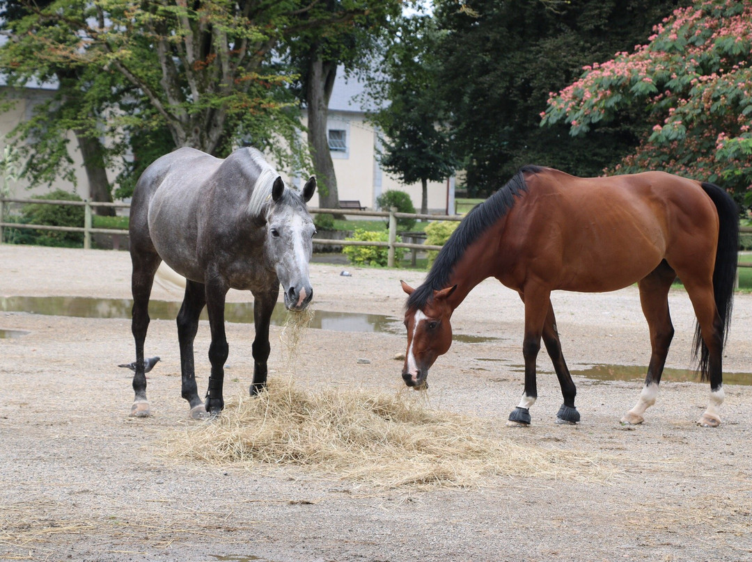 LE HARAS DE TARBES-塔布必去景点