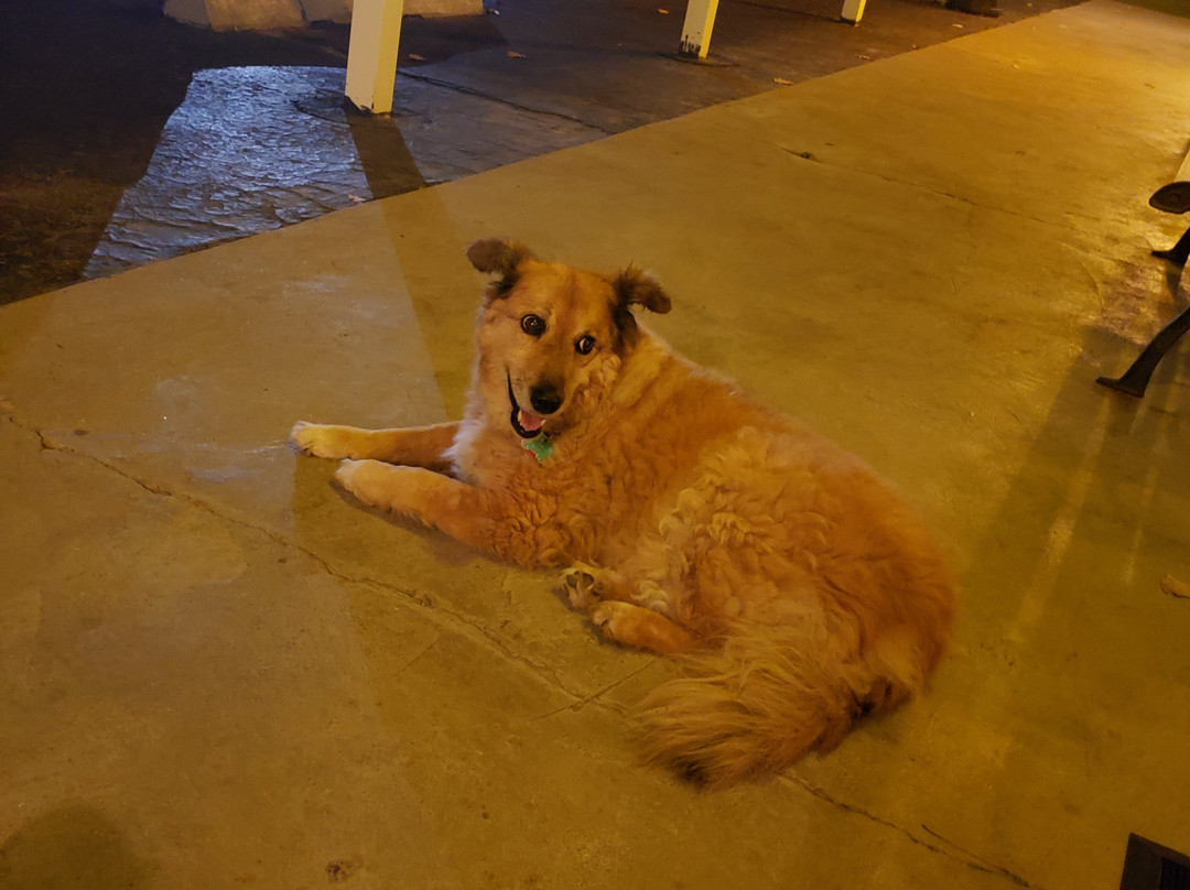 Little River Inn Motel主图