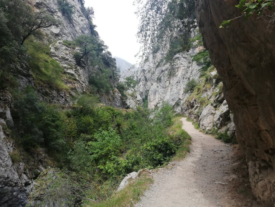 Rumbo a Picos-利亚内斯必去景点