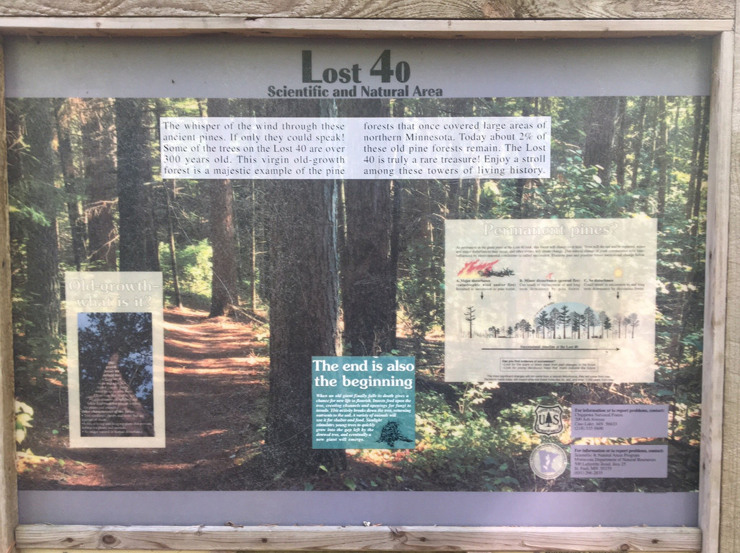 Lost Forty-Blackduck必去景点