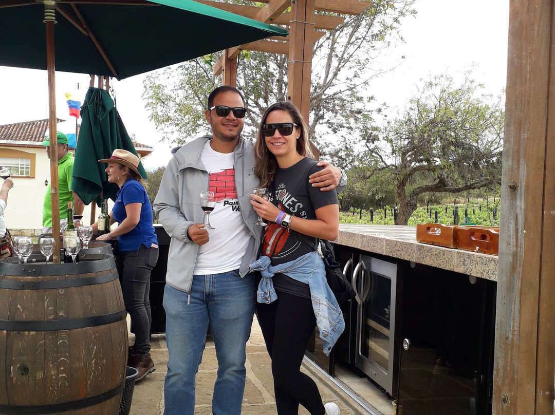 Viñedo Ain Karim-莱瓦镇必去景点