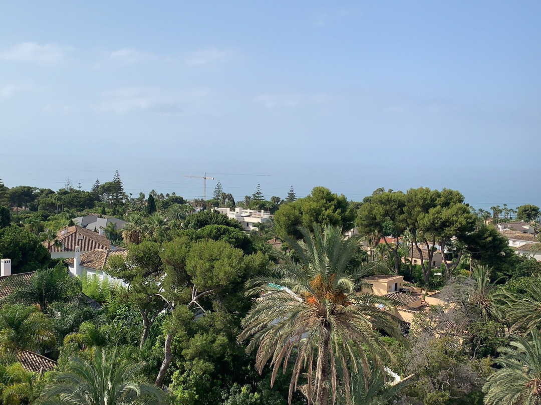 Hotel Los Monteros主图