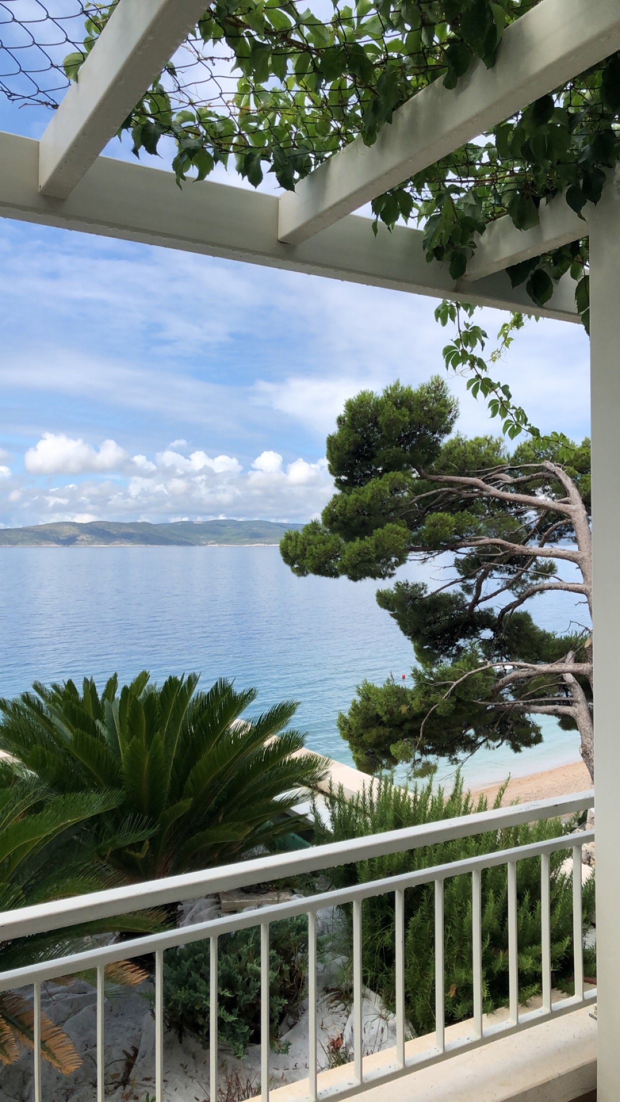 Apartments Villa Loznica-酒店景观