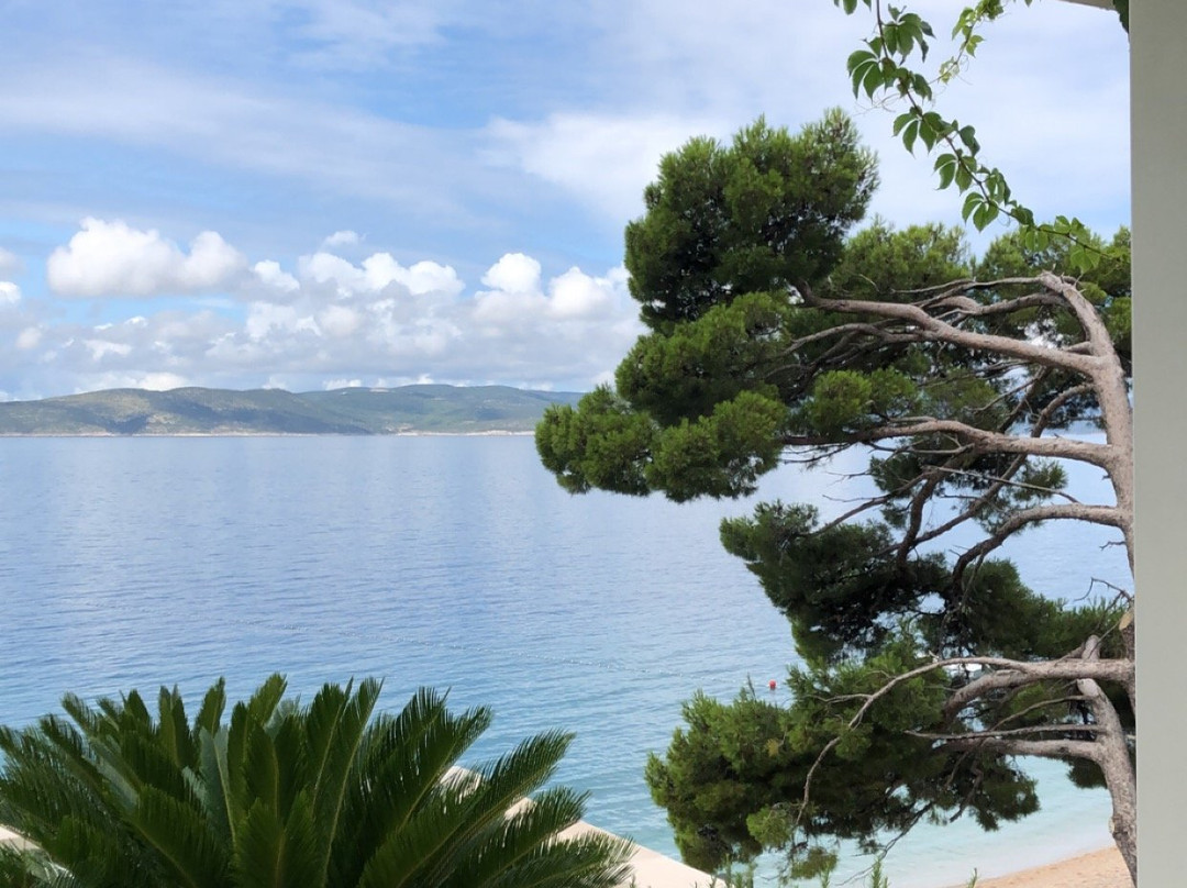 Apartments Villa Loznica主图