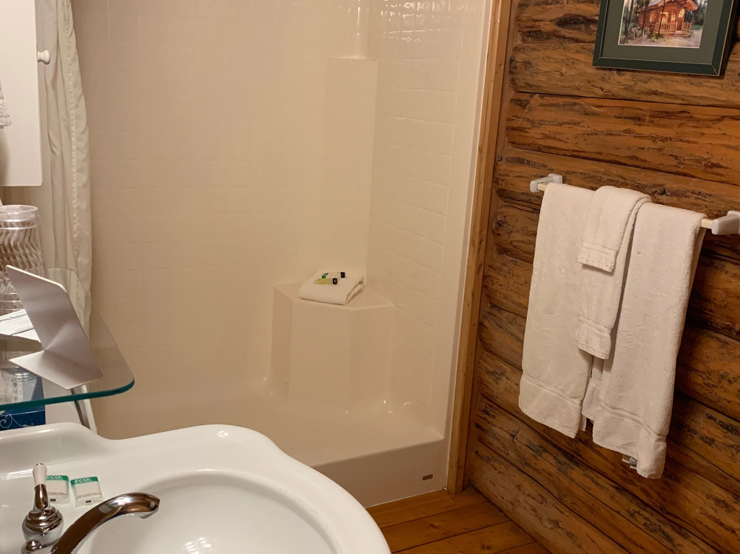 Silverwolf Log Chalet Resort主图