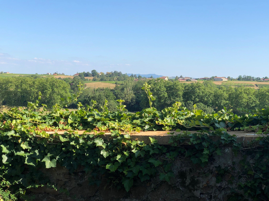 Saint-Etienne-des-Oullieres旅游攻略图片