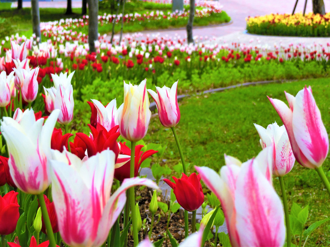 Sunagawa Service Area Inbound