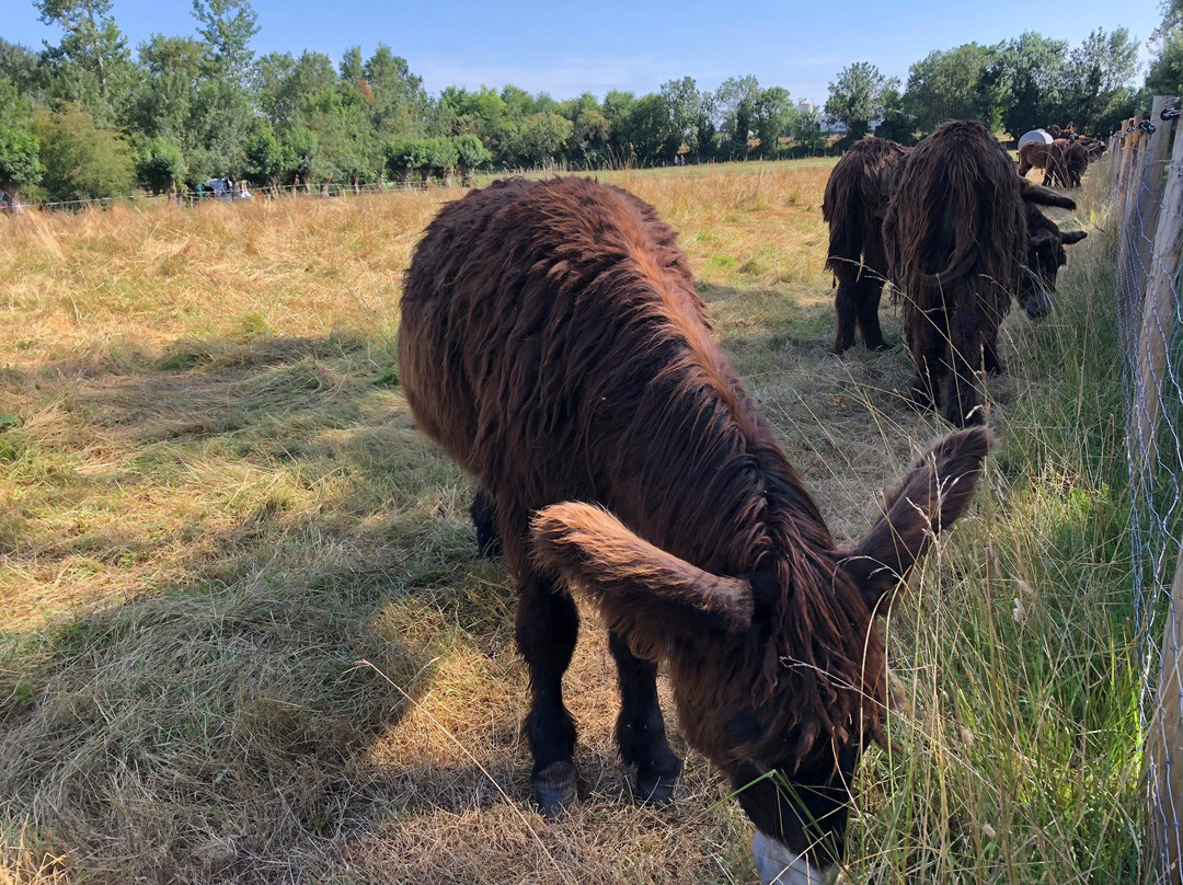 La Ferme du Marais Poitevin主图