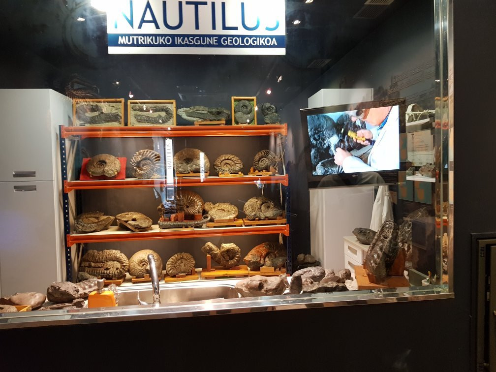 museo Nautilus景点图片
