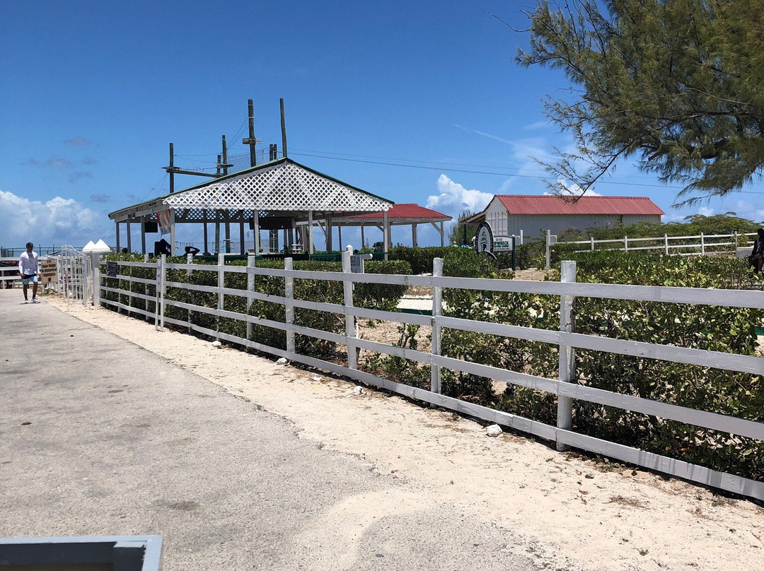 Island Trams-Cockburn Town必去景点