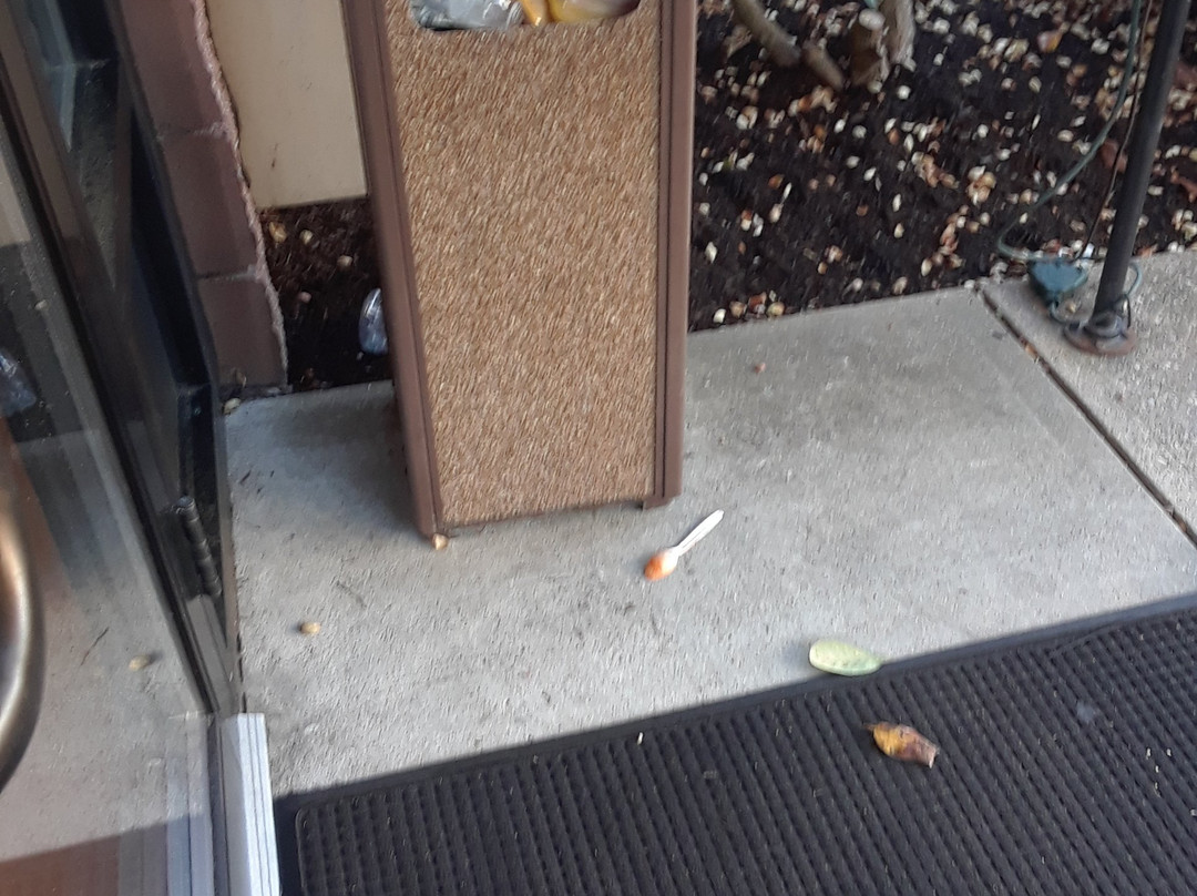 罗斯蒙特套房宾馆主图