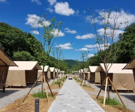 The Forest Camping Site
