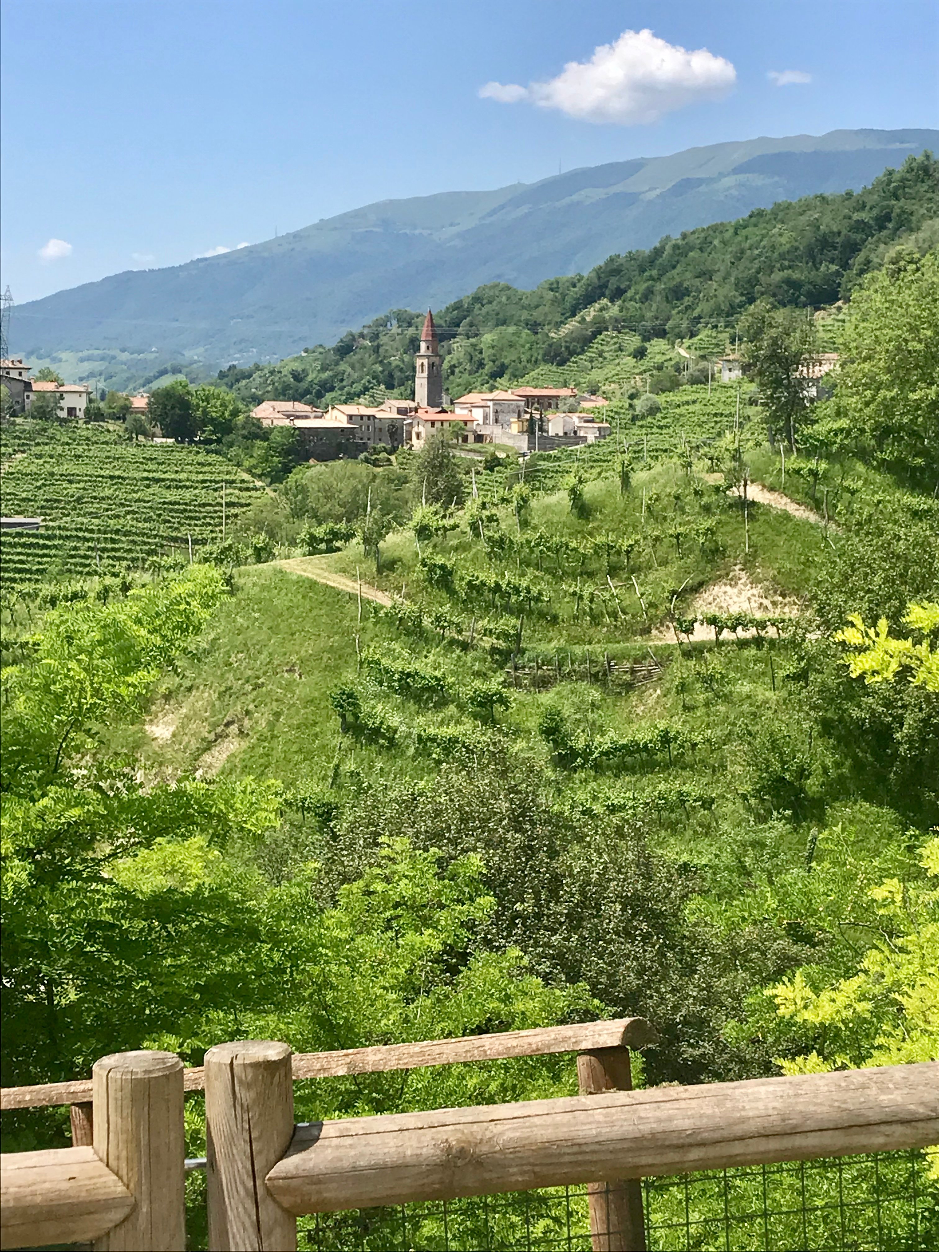 Relais Duca Di Dolle-portrait
