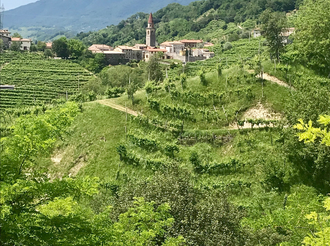 Relais Duca Di Dolle主图