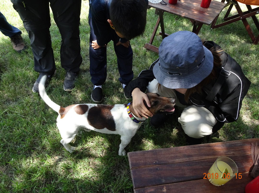 基歇切莱基皮亚露营主图