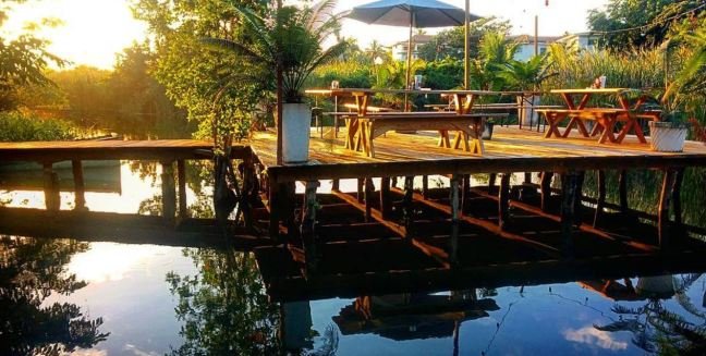 Cabarete Surfcamp-餐饮