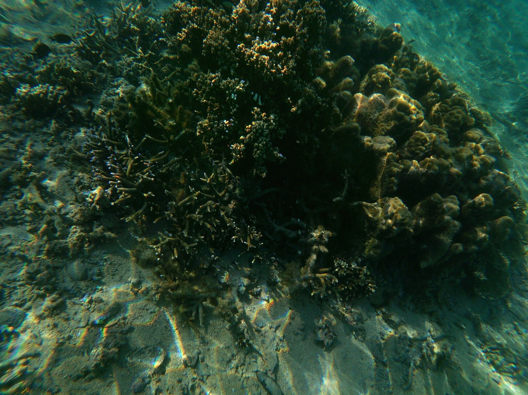 Plage de Trou d'Eau景点图片