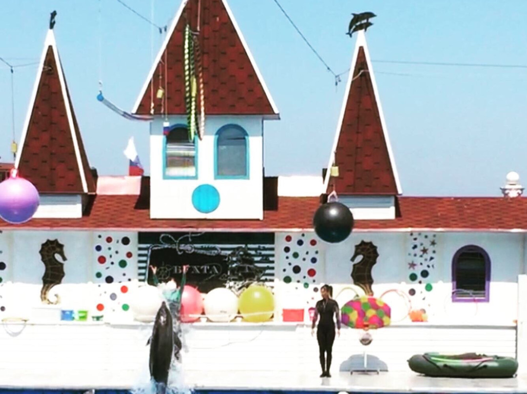 Sevastopol Dolphinarium in Artillery Bay-塞瓦斯托波尔必去景点