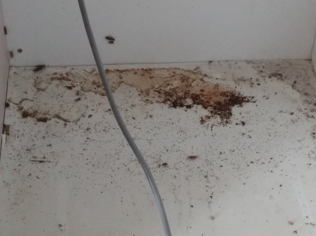 Fairmont Motor Lodge主图