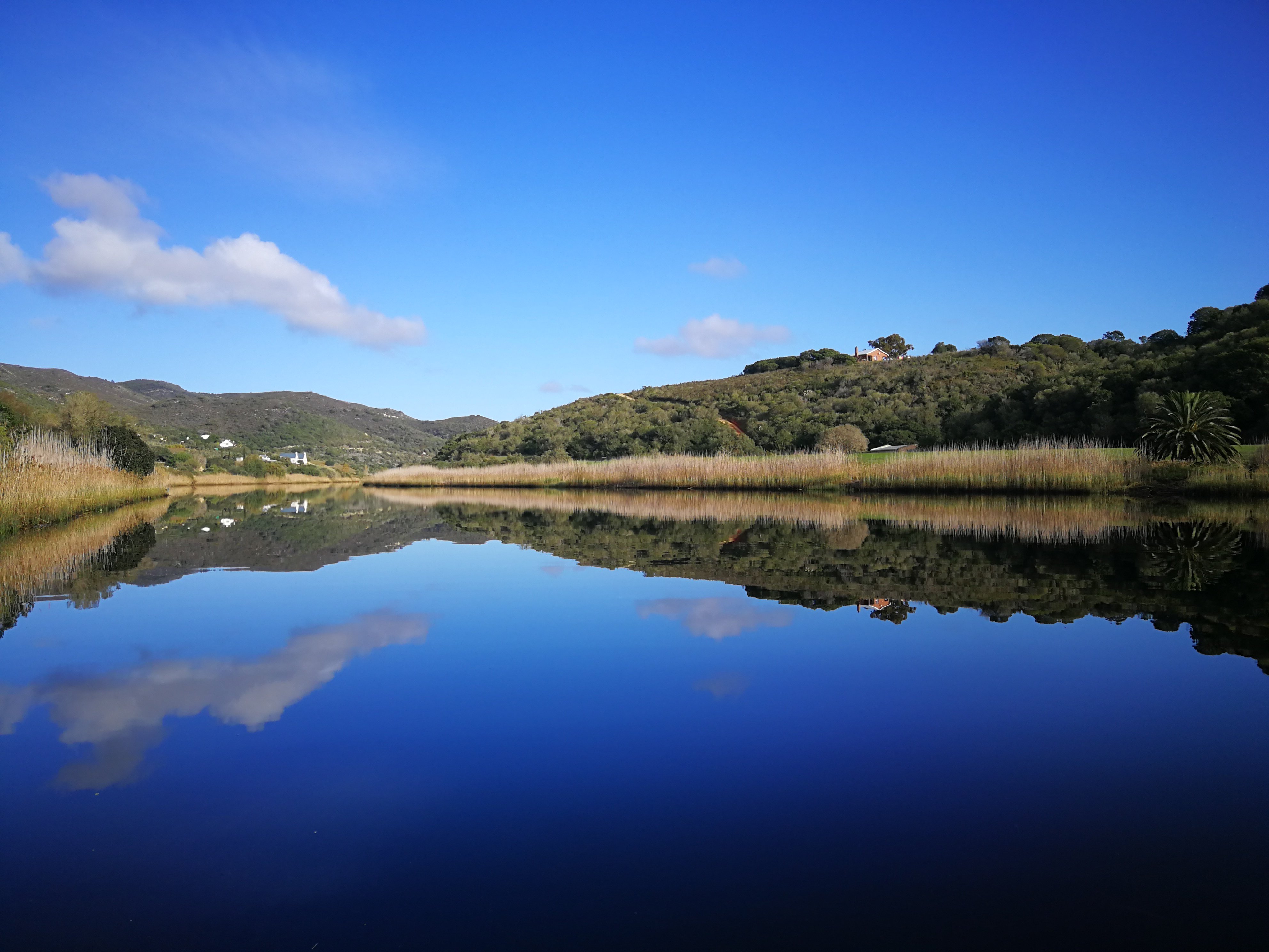 Wild Olive Guest Farm-官方