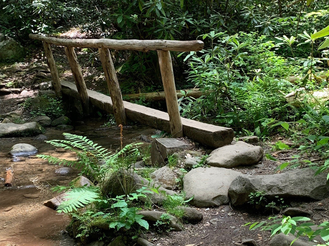 Porters Creek Trail-大雾山国家公园必去景点