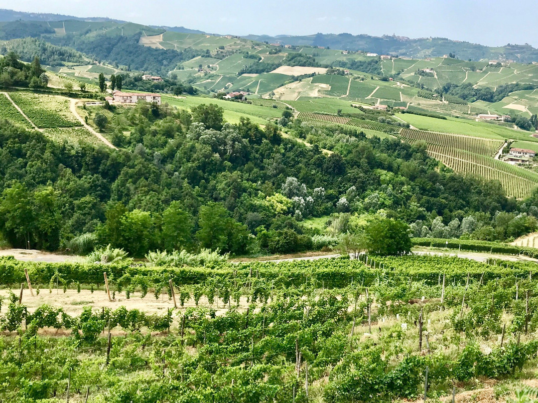 Villa Incanto Apartments主图