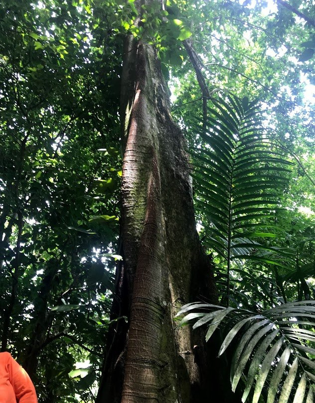 热带潟湖度假村主图