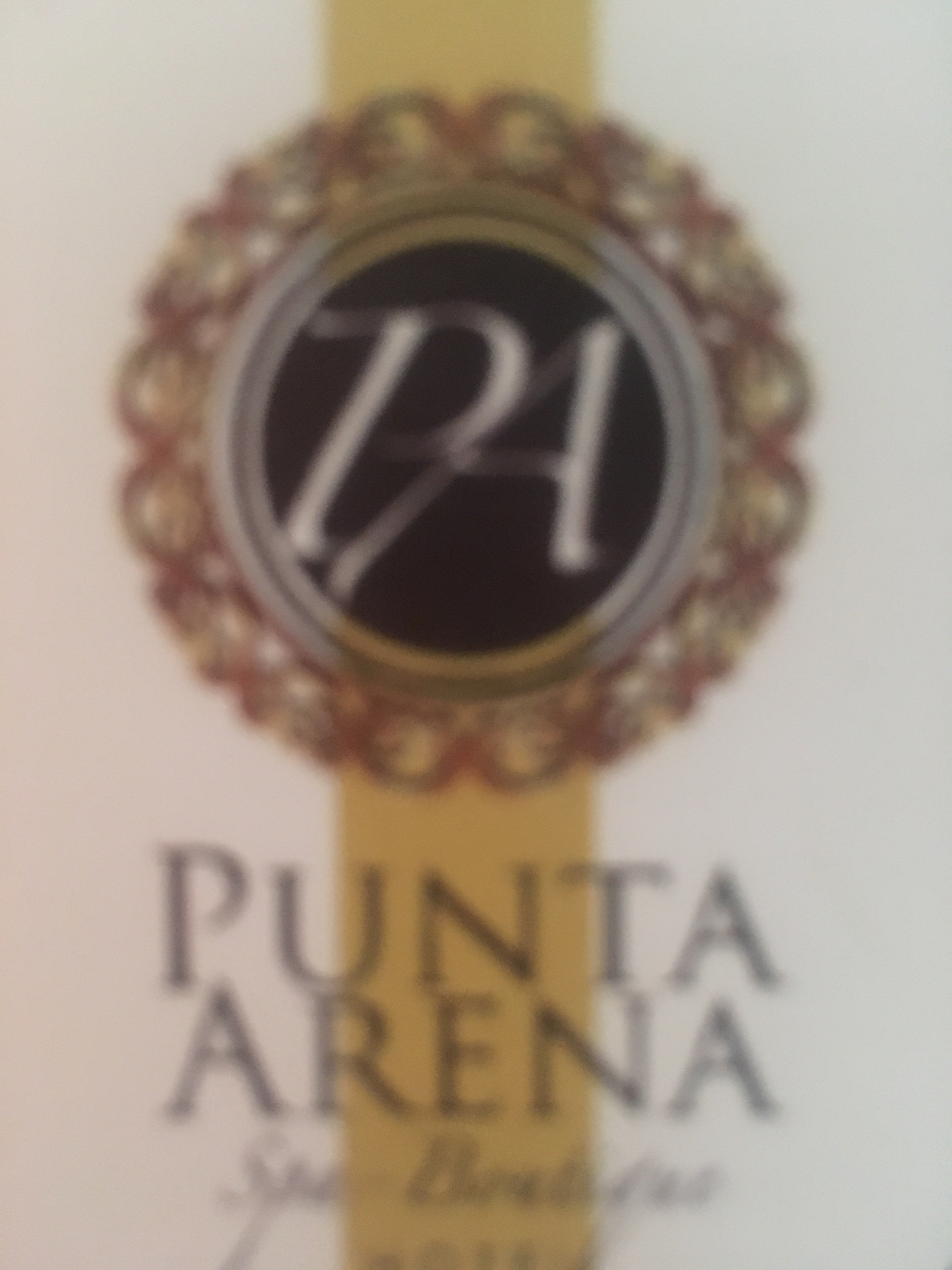 Hotel Punta Arena-官方