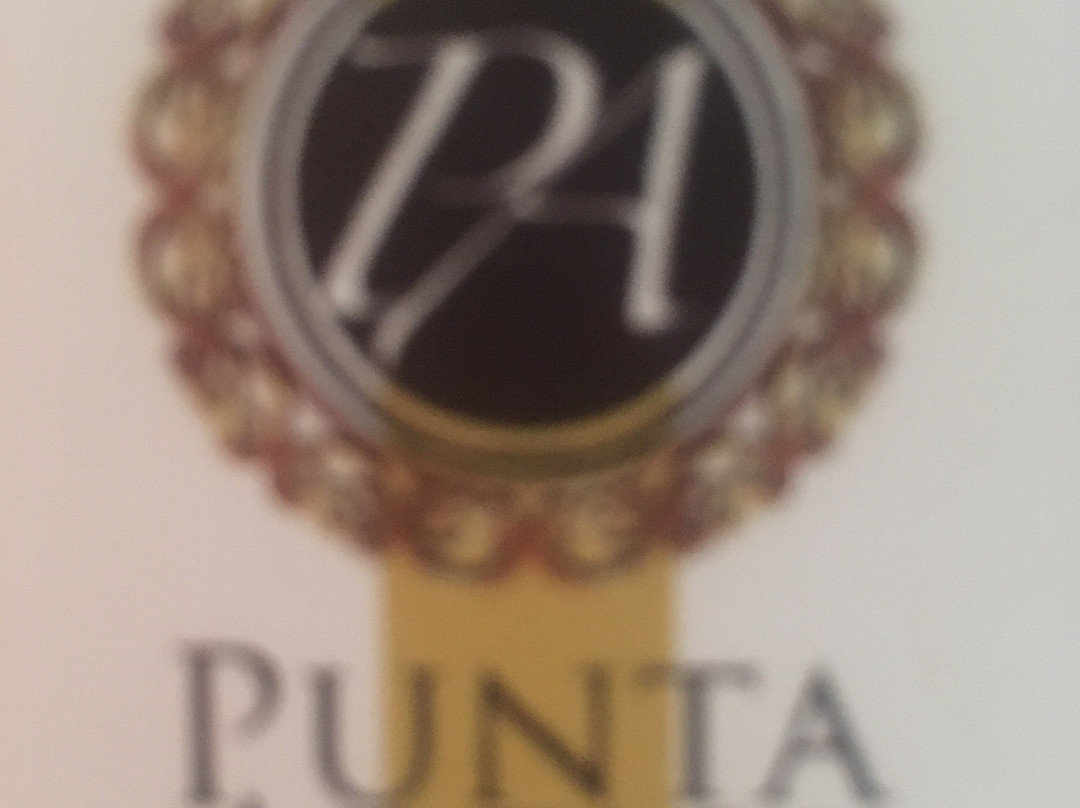 Hotel Punta Arena主图