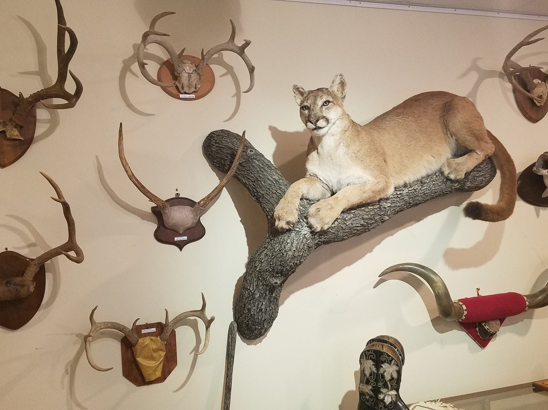 Osage County Historical Museum-Pawhuska必去景点