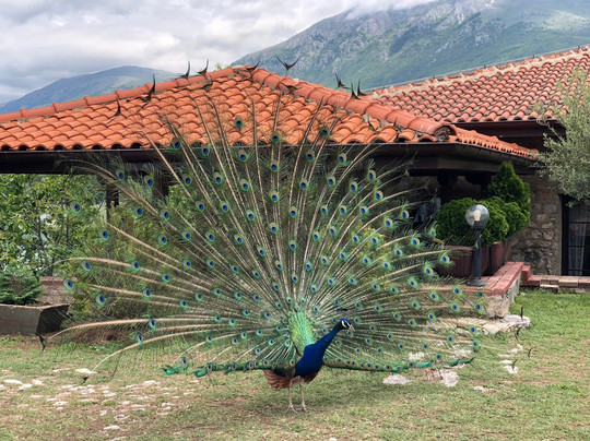 Macedonia Travel-斯科普里必去景点