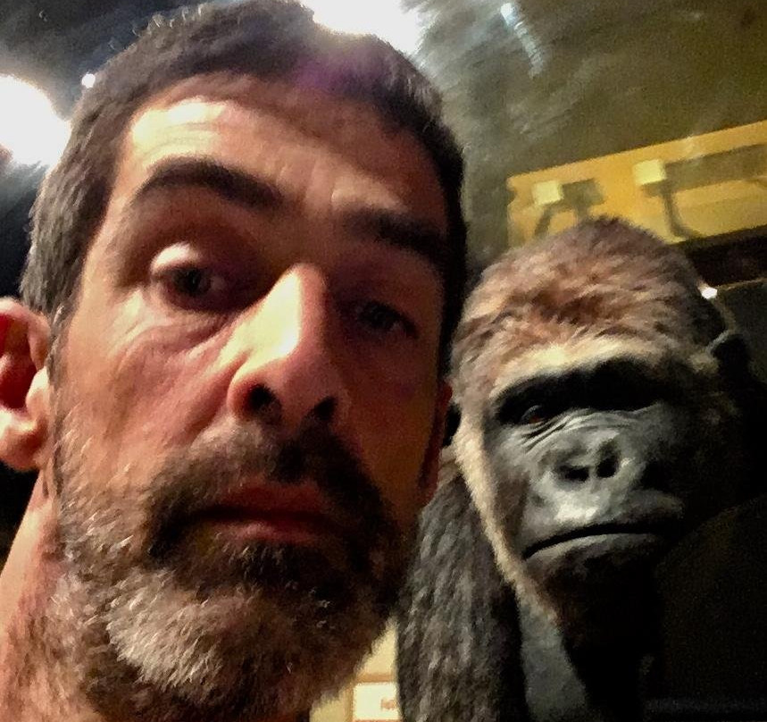 Stone Allerton旅游攻略图片