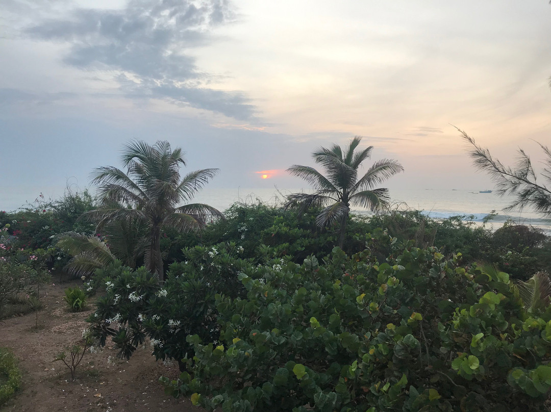 Neemrana's Bungalow on the Beach主图