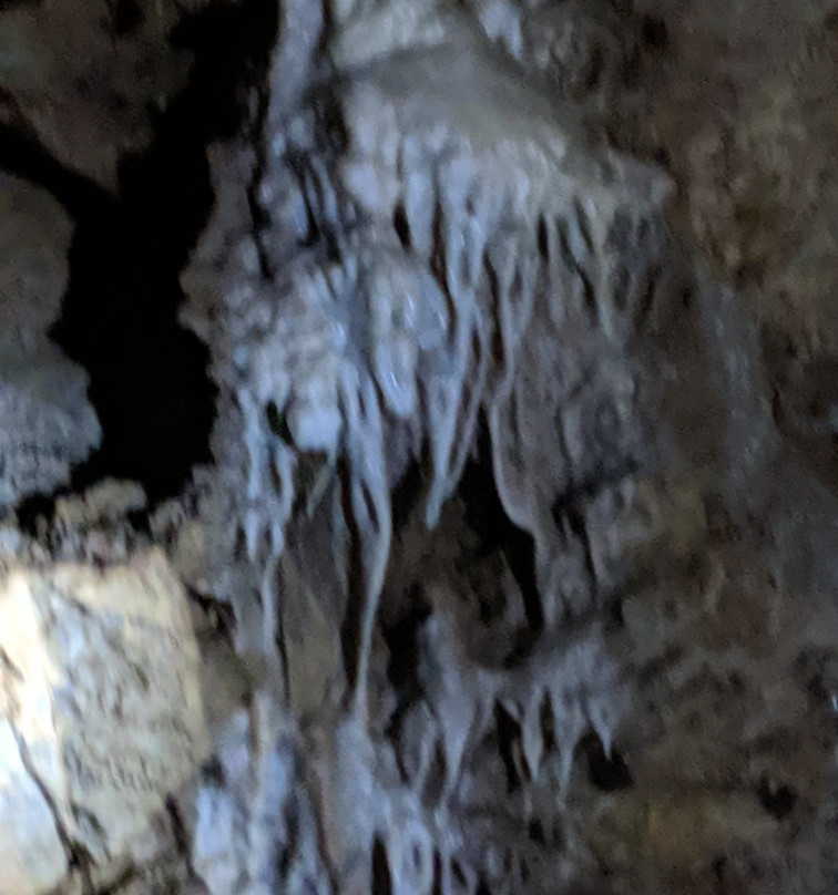 Oregon Caves National Monument and Preserve景点图片