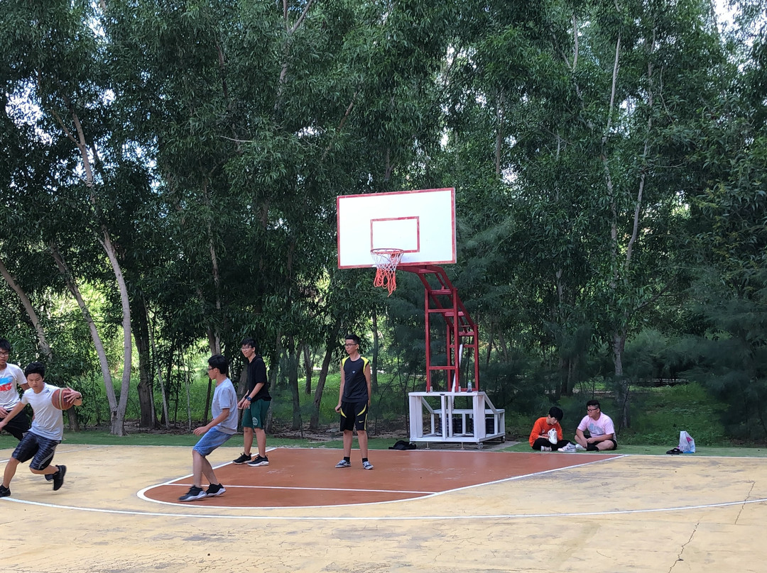 InterContinental Grand Ho Tram by IHG主图