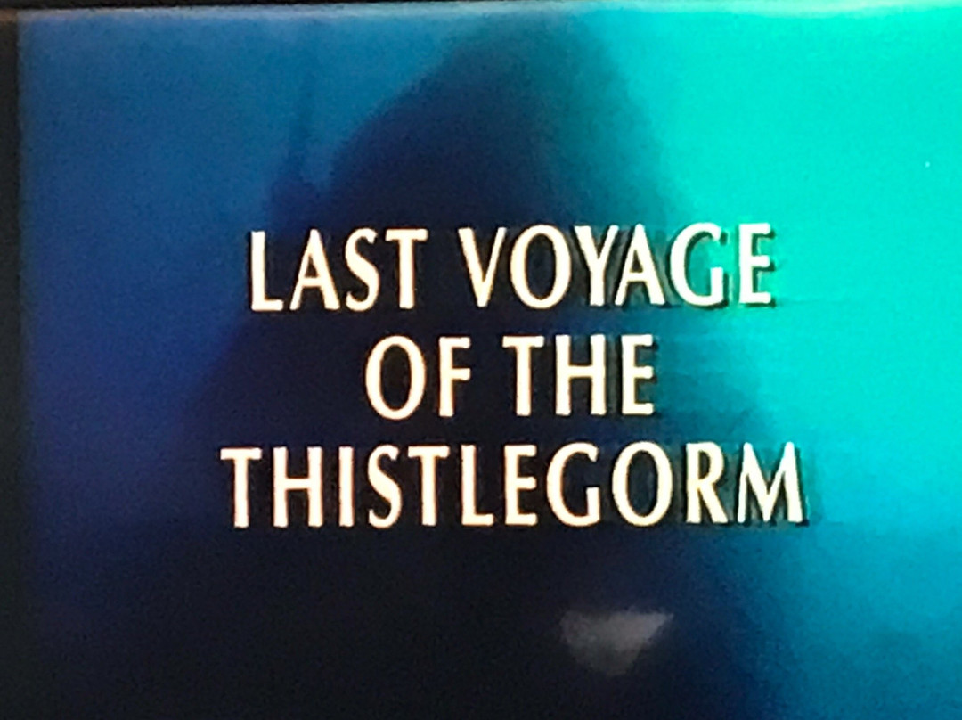 Pro Dive Centre-伊丽莎白港必去景点