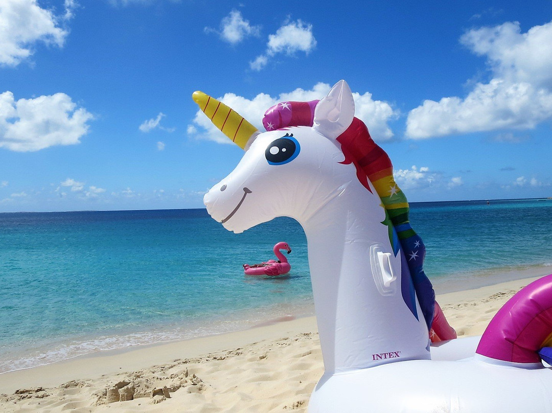 Turtle's Nest Beach Resort主图