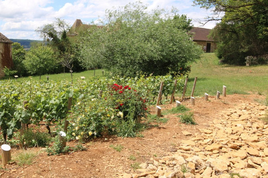 Château Pontus de Tyard-Germagny必去景点