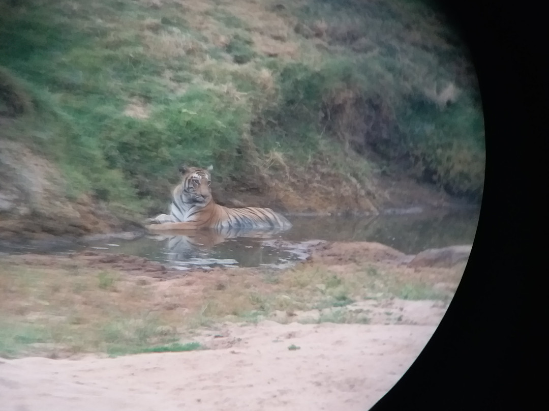 Satpura Tiger Reserve-中央邦必去景点