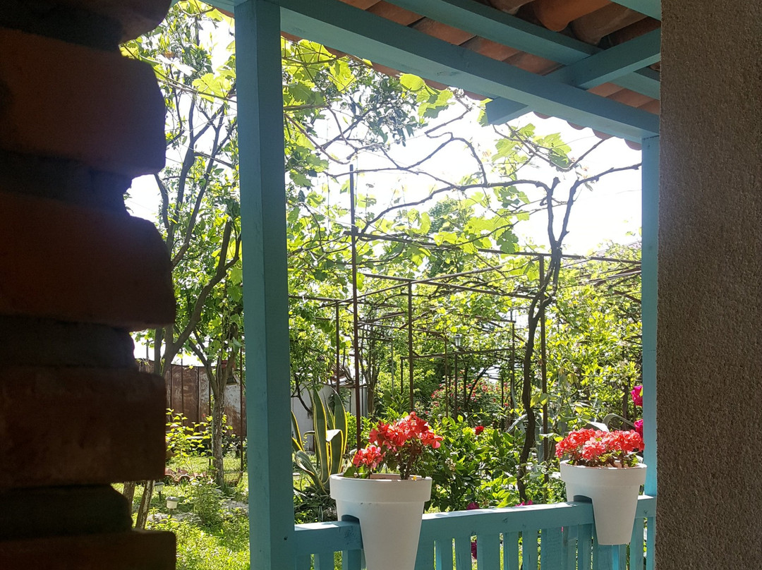 2024年3月Mate’s Wine Cellar景点攻略Mate’s Wine Cellar门票预订地址图片Mate’s Wine