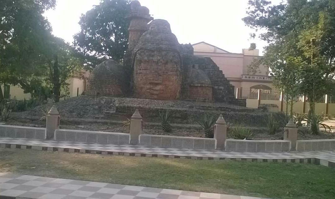Patna Museum景点图片