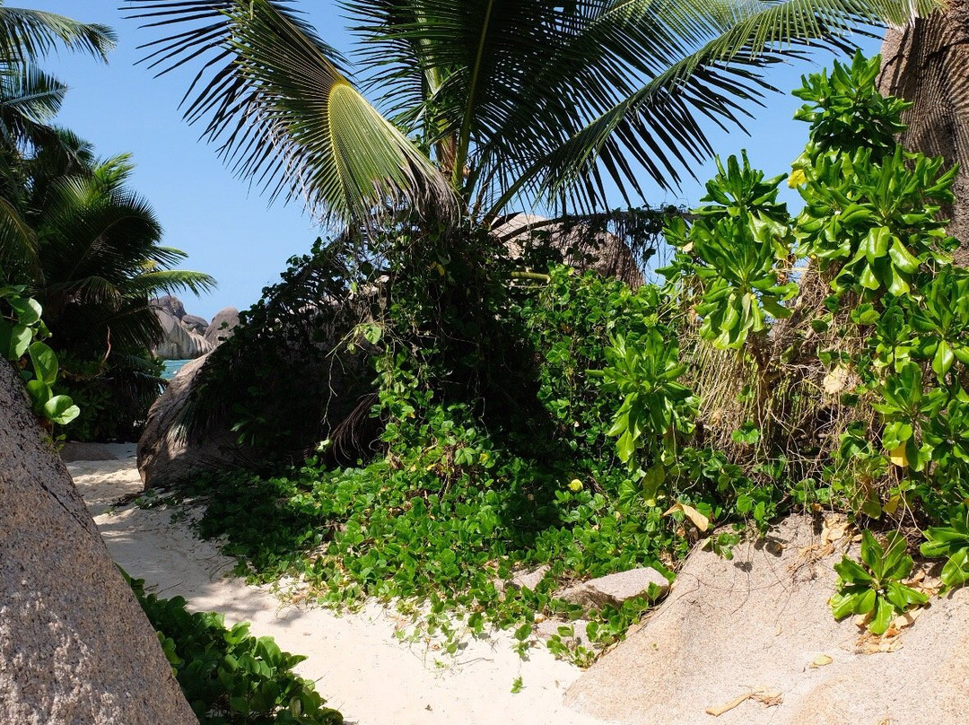 Tanette's Villa主图