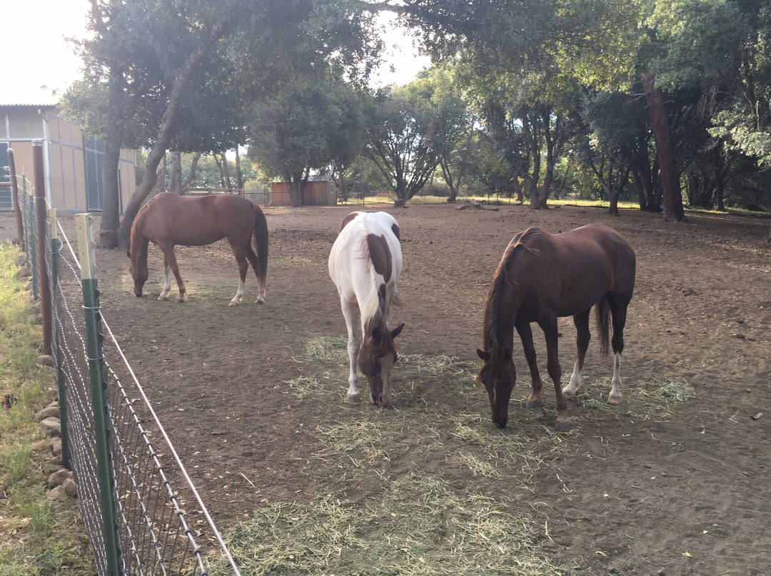 Red Tail Ranch主图