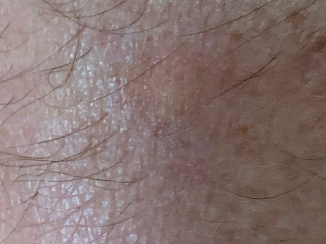 Comfort Inn Ballard-Roosevelt主图