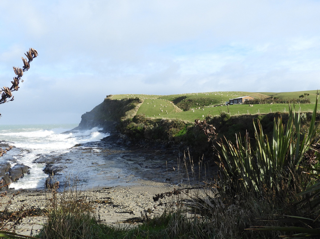 Catlins Farmstay B&B主图
