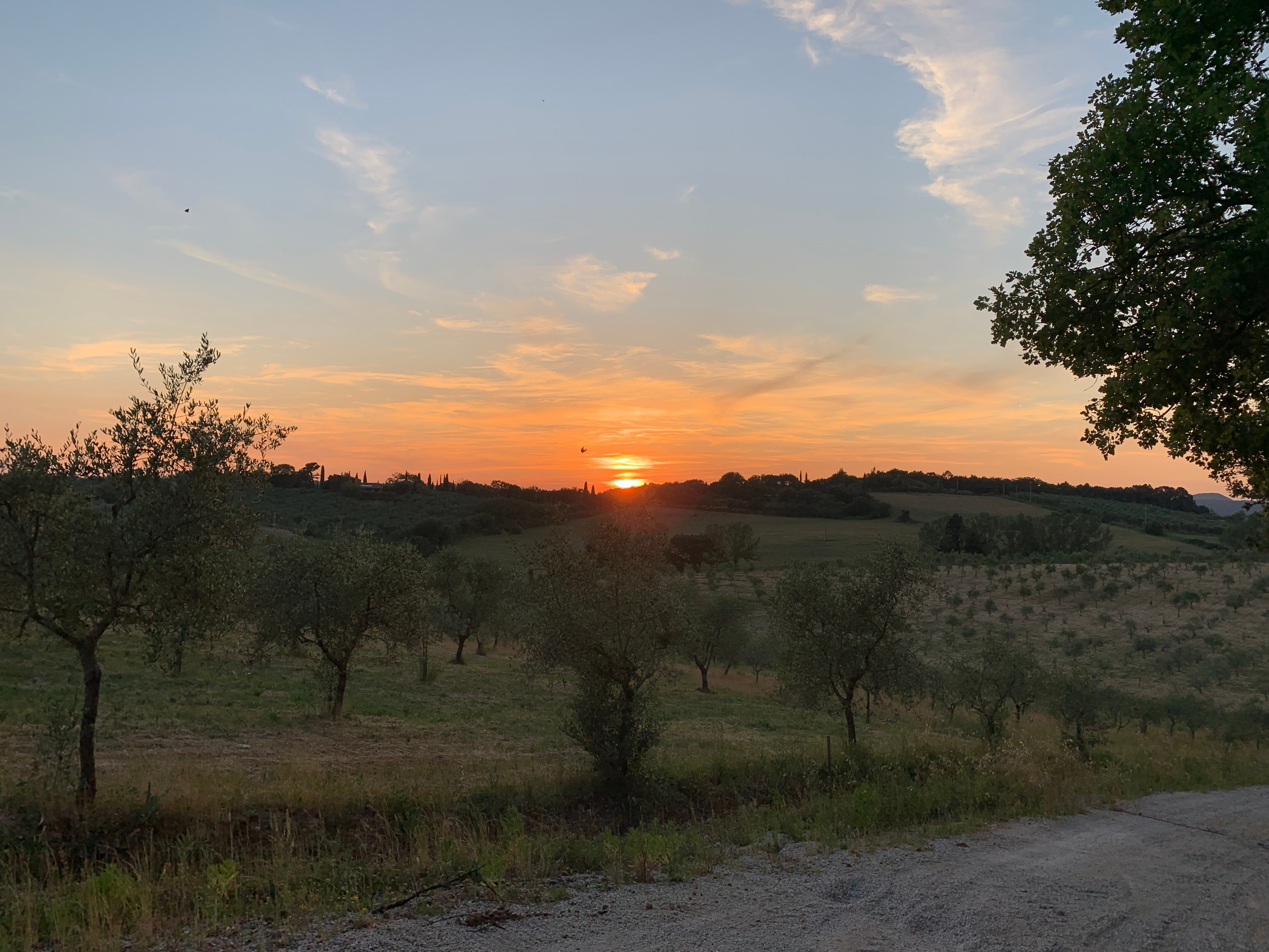Podere Dionora-官方