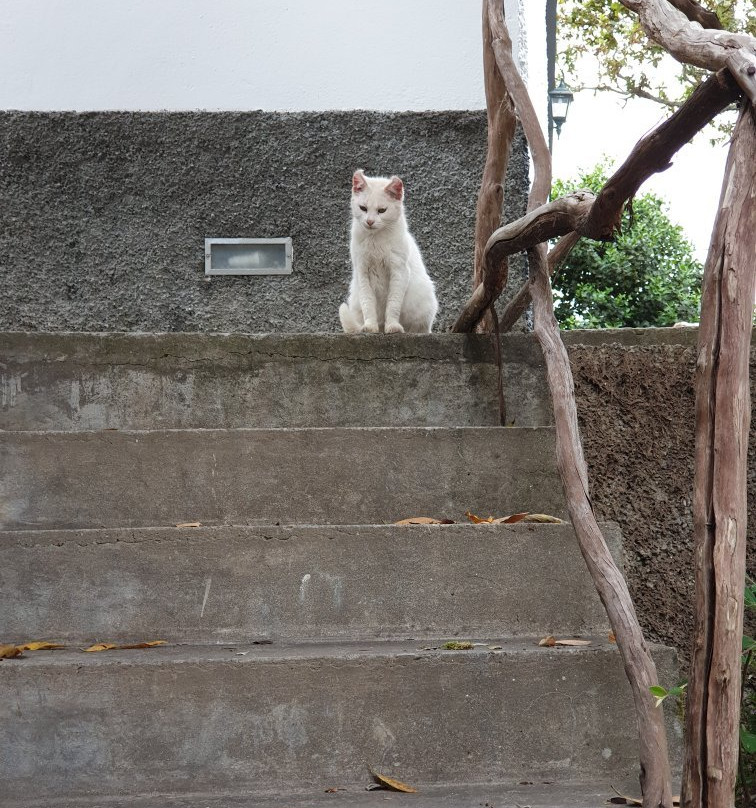 Casa de Campo do Pomar主图