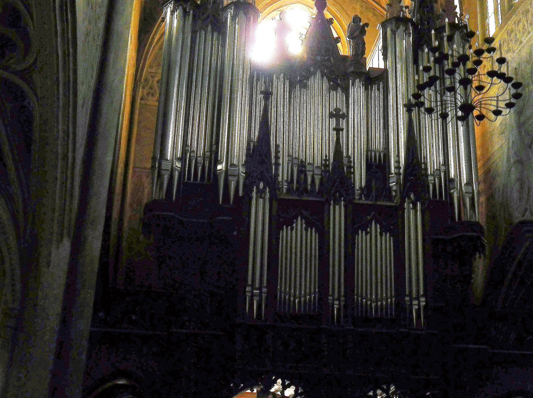 Cathédrale Saint-Francois-De-Sales景点图片
