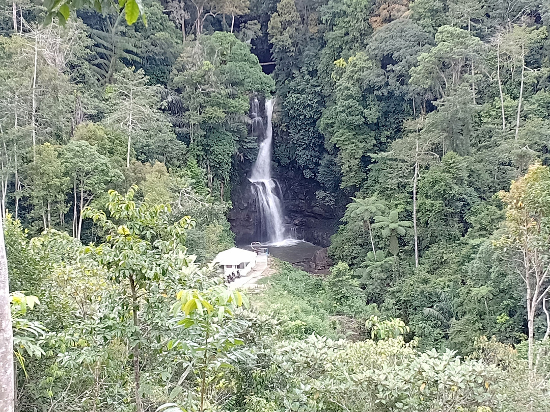 Sarasah Sungai Guntuang-Palupuh必去景点